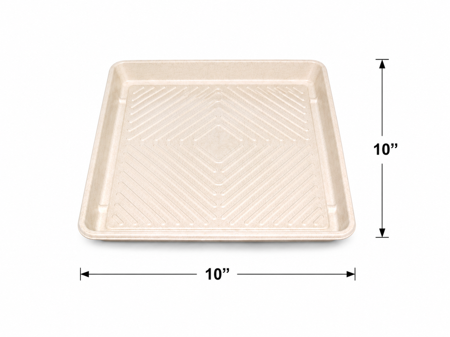 Eco-Friendly Catering Tray with Clear PET Dome Lid 25/ Box