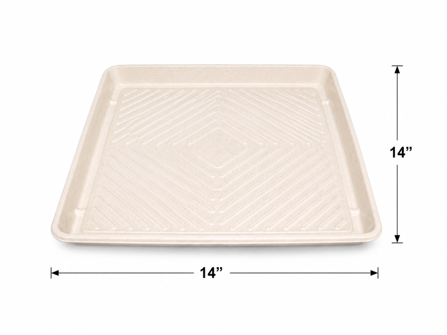 Eco-Friendly Catering Tray with Clear PET Dome Lid 25/ Box