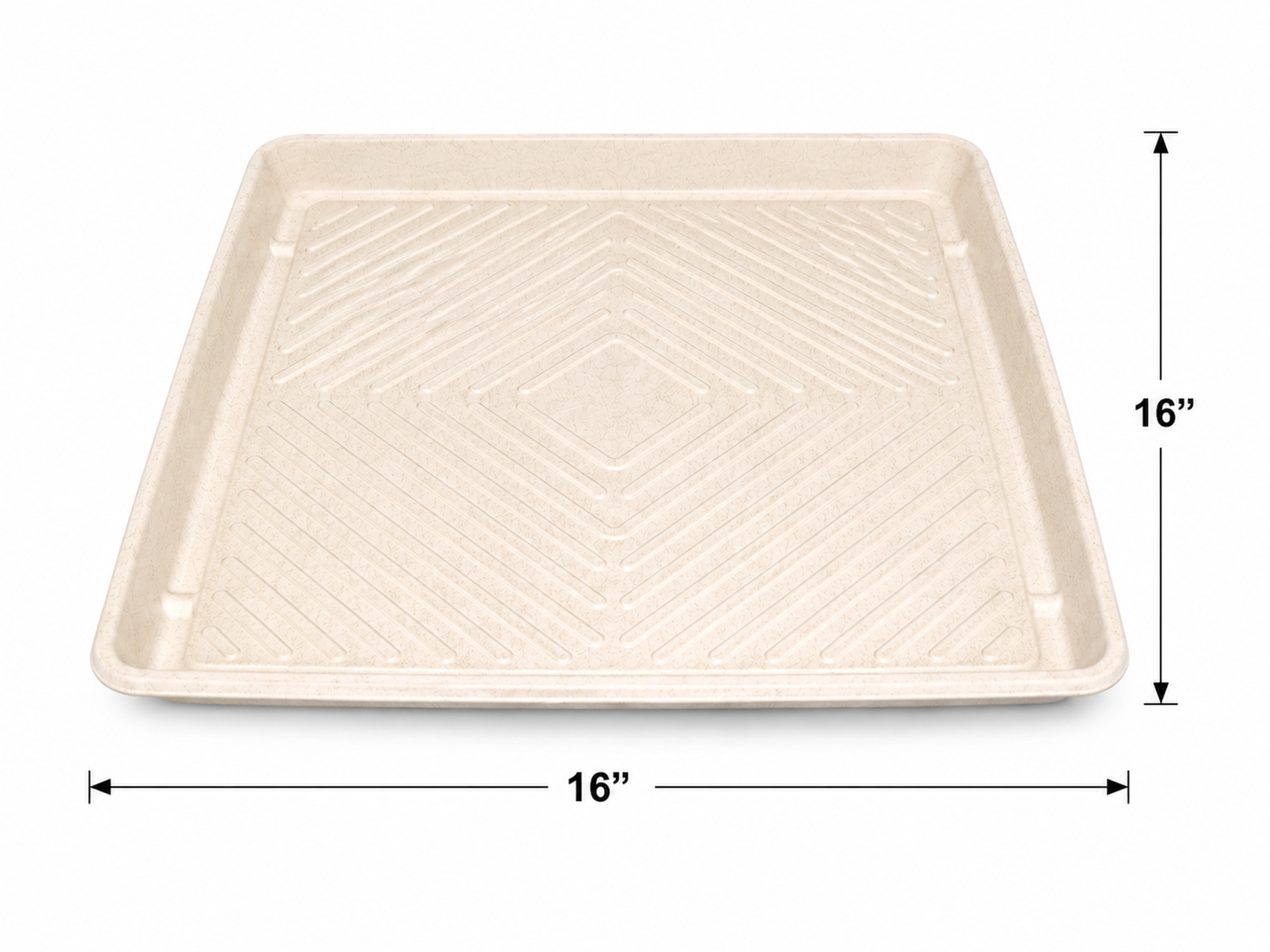 Eco-Friendly Catering Tray with Clear PET Dome Lid 25/ Box