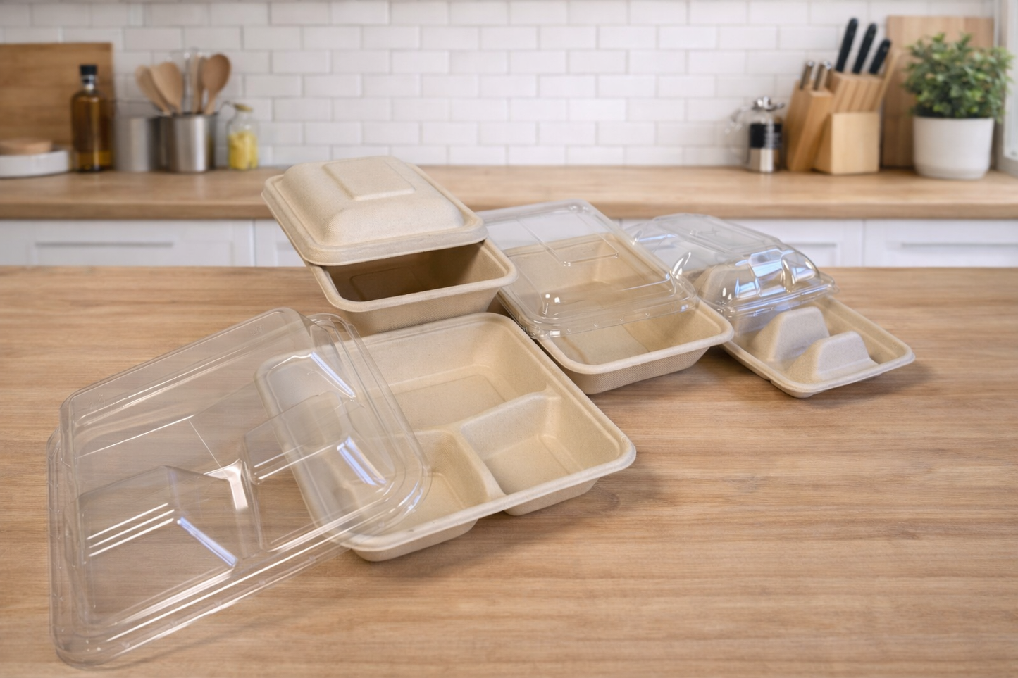 Eco- Friendly Compostable Bagasse Trays