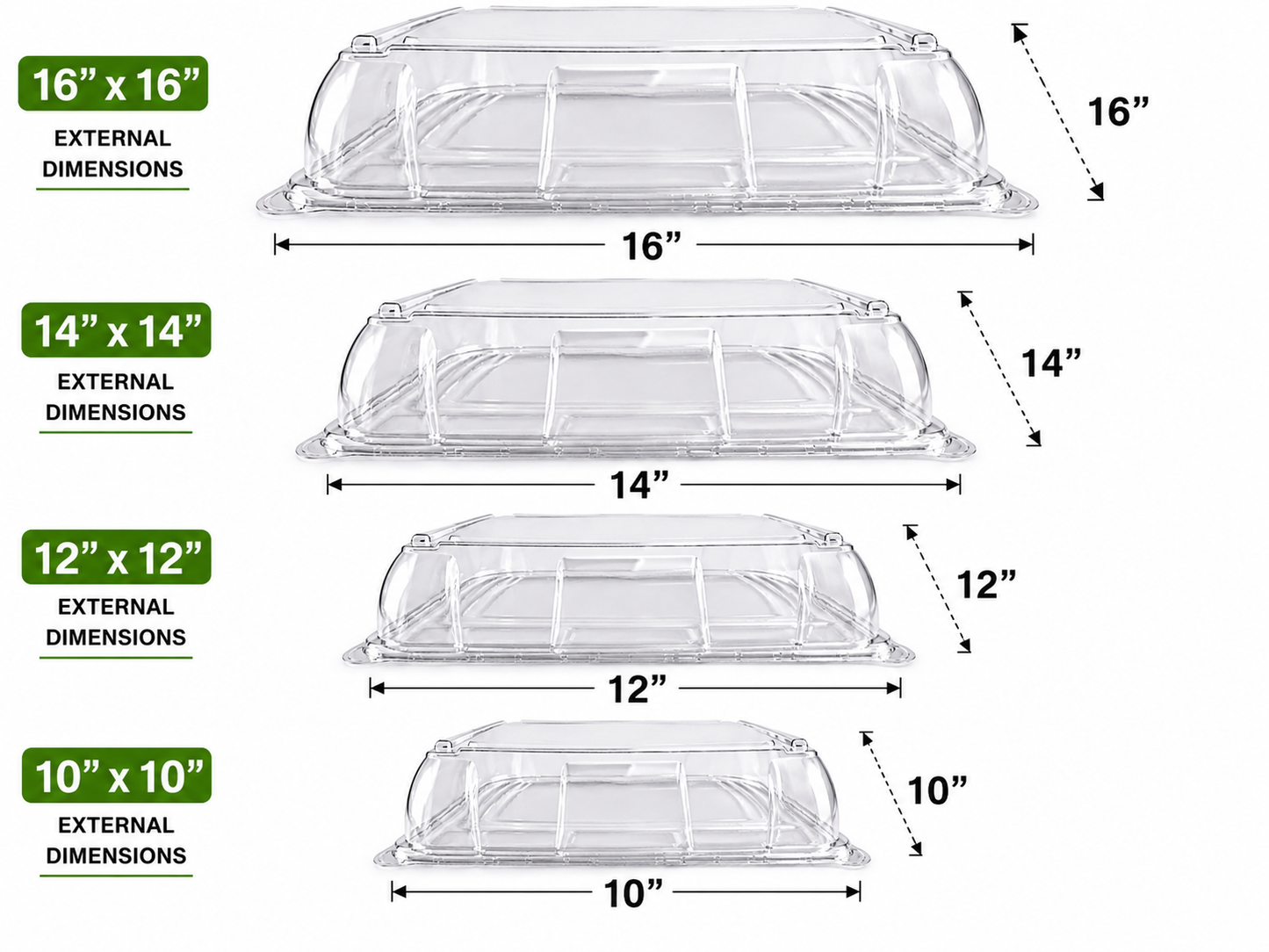 Eco-Friendly Catering Tray with Clear PET Dome Lid 25/ Box