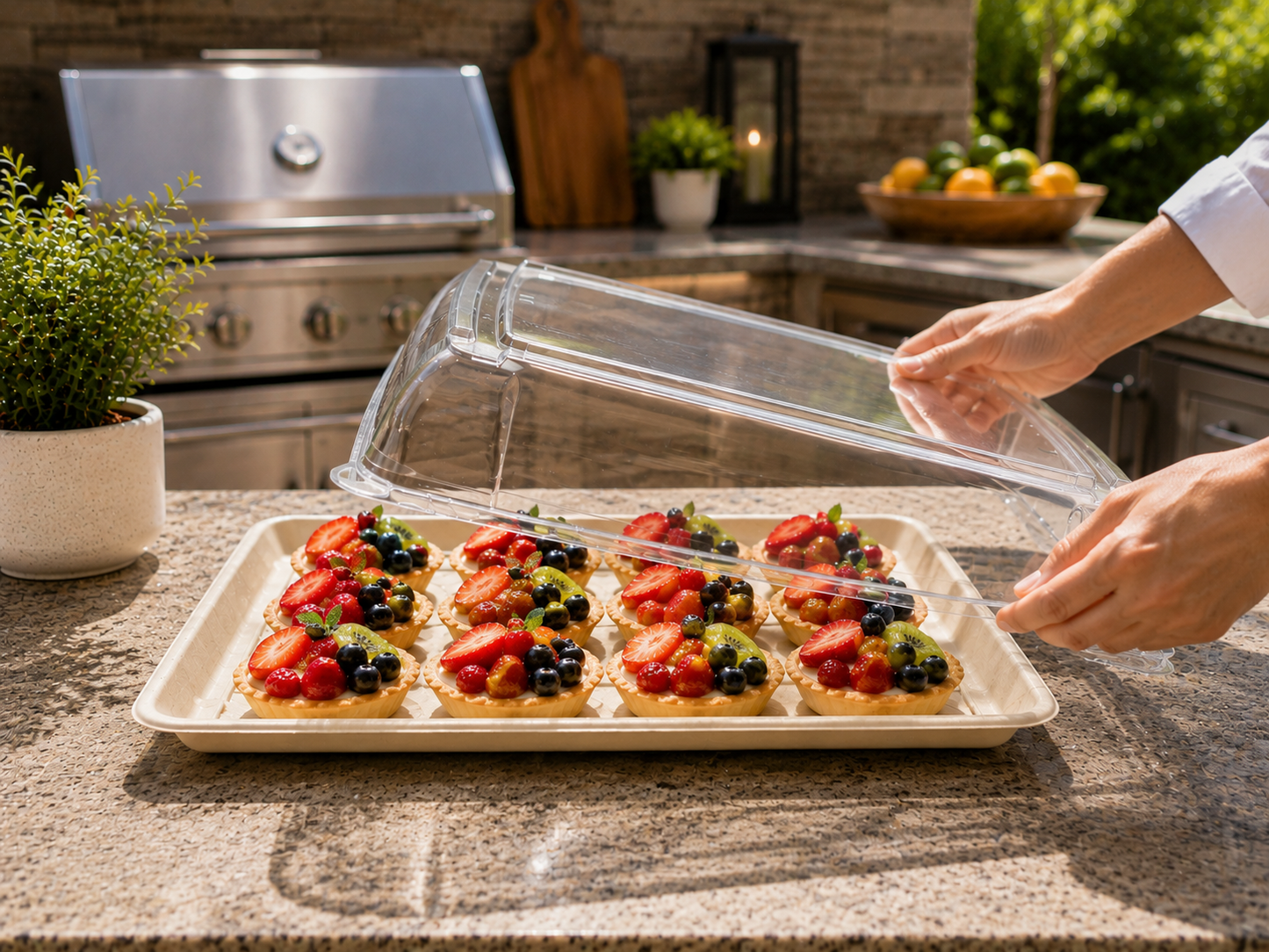 Eco-Friendly Catering Tray with Clear PET Dome Lid 25/ Box