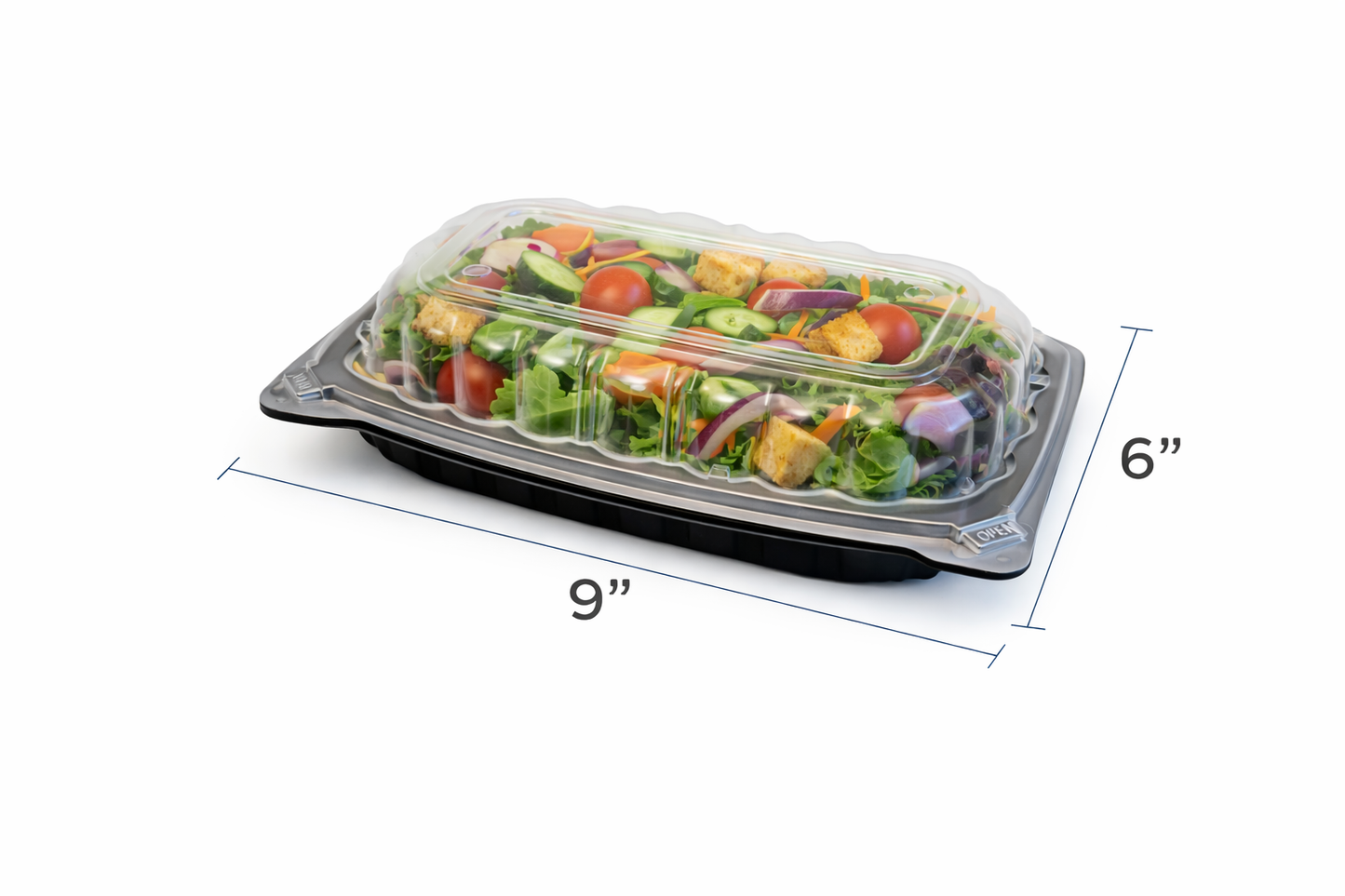 Black Hinged Plastic Container With Clear Lid
