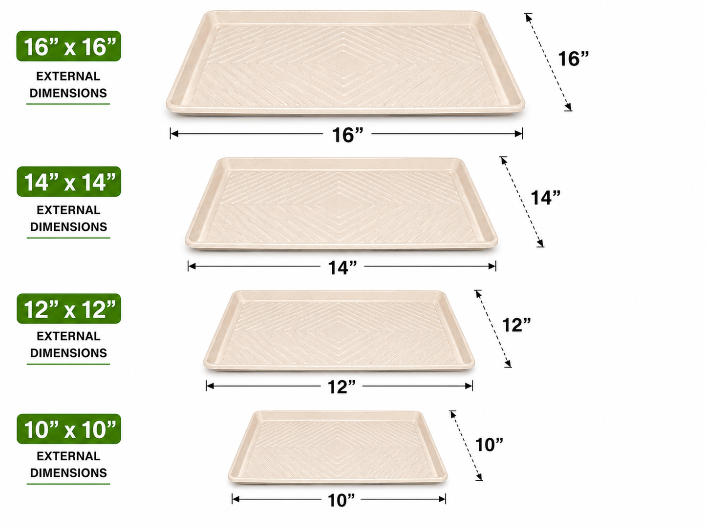 Eco-Friendly Catering Tray with Clear PET Dome Lid 25/ Box