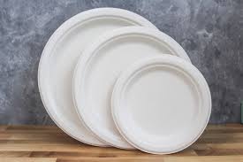 Compostable Dinar  Plate Bagasse PFAS FREE